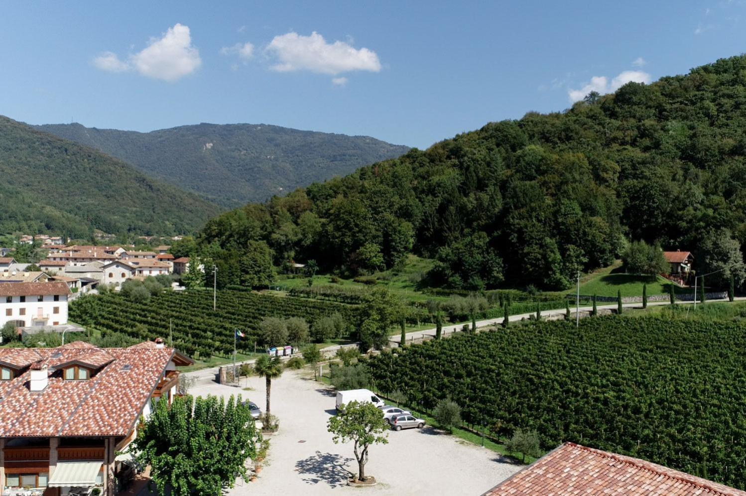Wine Resort Faedis Εξωτερικό φωτογραφία